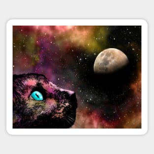 Siamese Cat 619 Planet Space Magnet